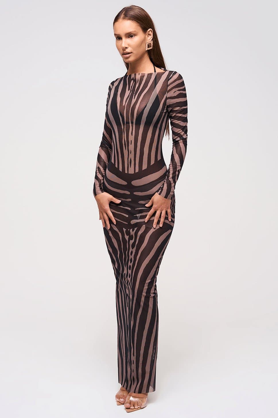Mesh Maxi Dress Curve Illusion Zebra Print Full Sleeve Maxi Length