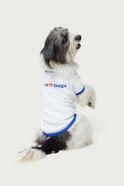 Puppy Lover Pet T-Shirt with Edikted Loves Dogs Graphic Unisex Cotton Spandex