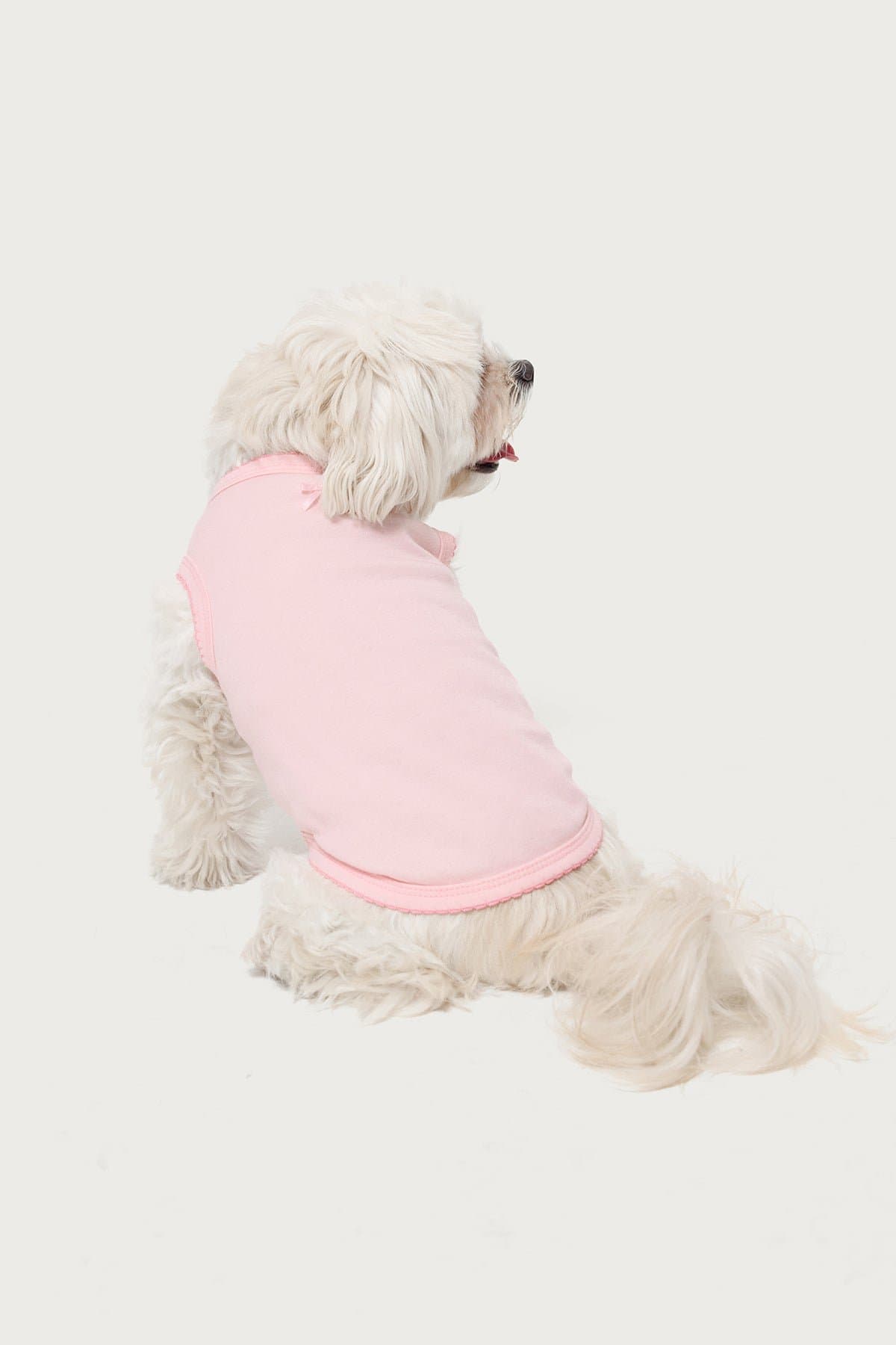 Pawfect Pet Tank Top XS Polyester with Contrast Scalloped Trim and Bow Detail