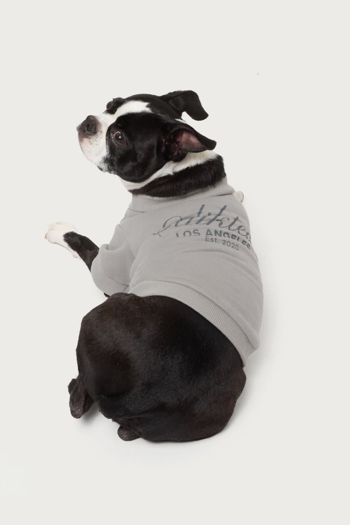 Get Edikted Pet Sweatshirt with LA Graphic - Polyester Cotton Unisex Small