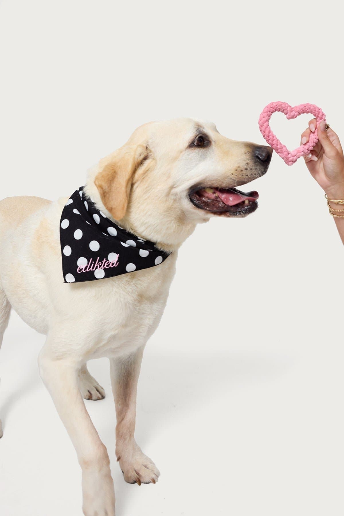 Fetching Heart Rope Toy for Dogs - 100% Cotton, 4.7" x 4.5"