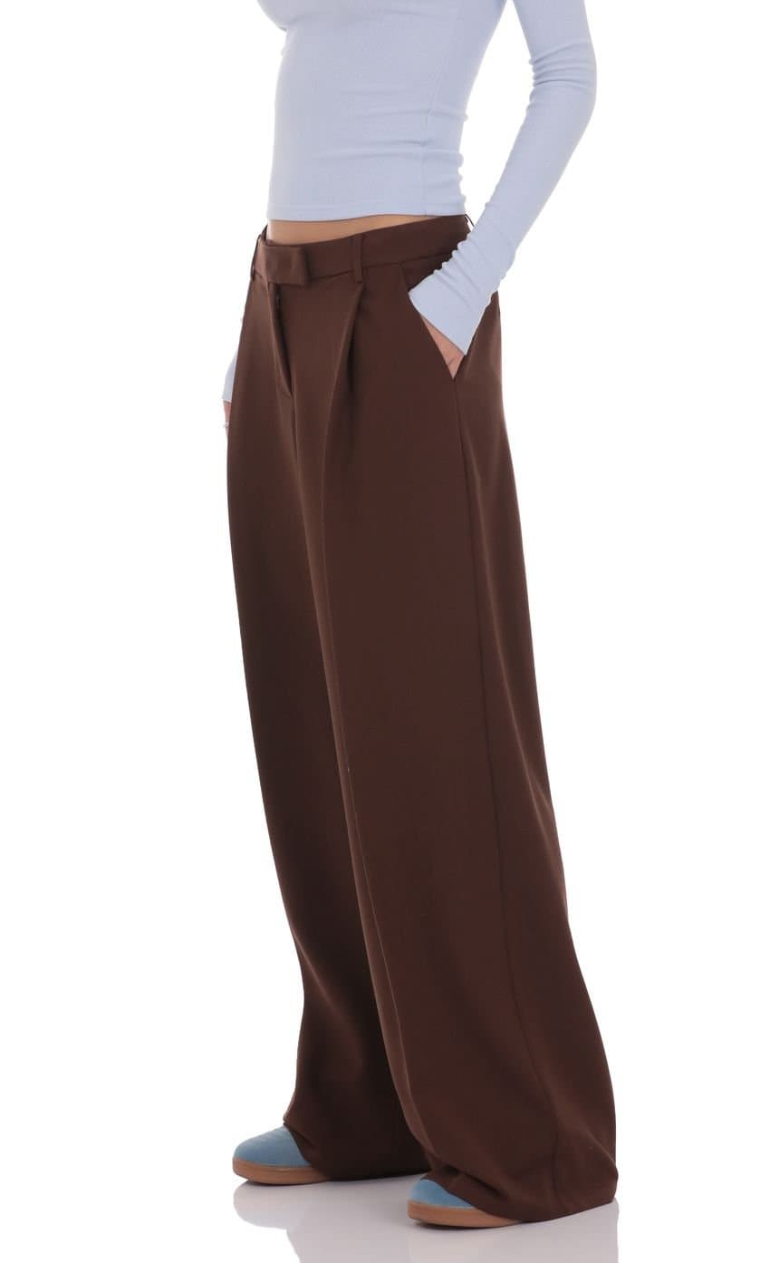 Pleated Wide Leg Trousers in Brown