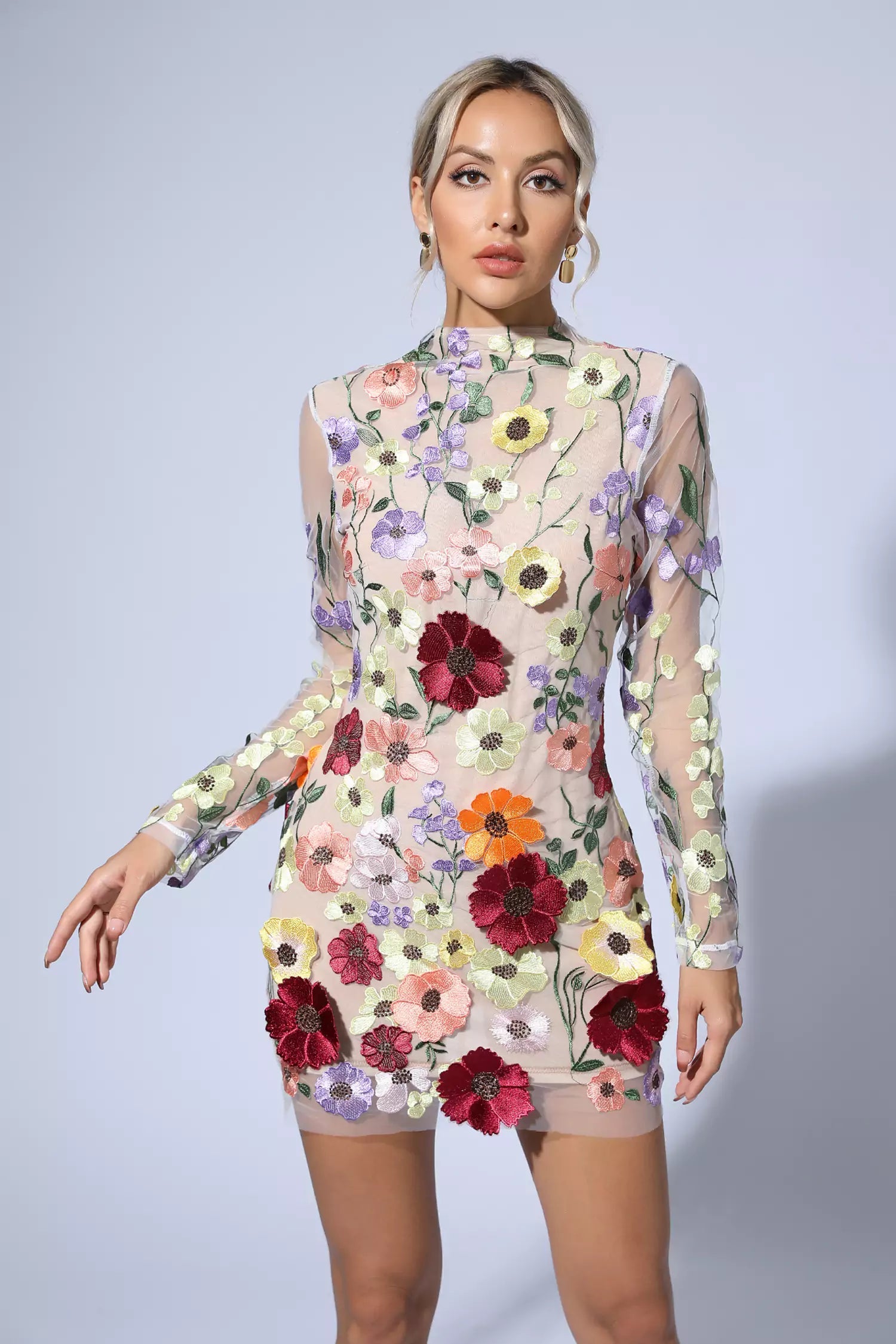 Embroidered Lace Mini Dress with Half High Collar