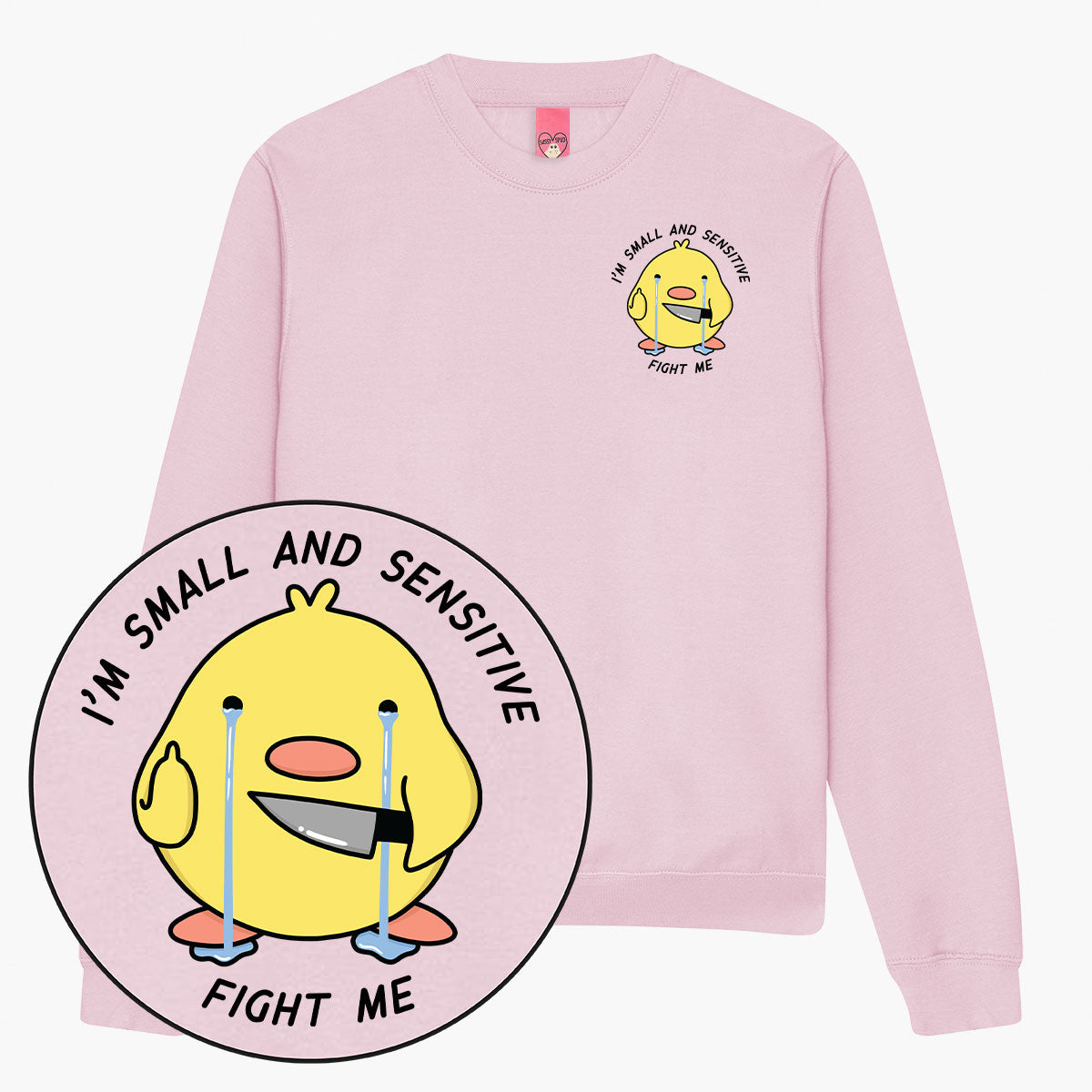 Cosy Printed Sweatshirt for All, Sky Blue - XS to 2XL