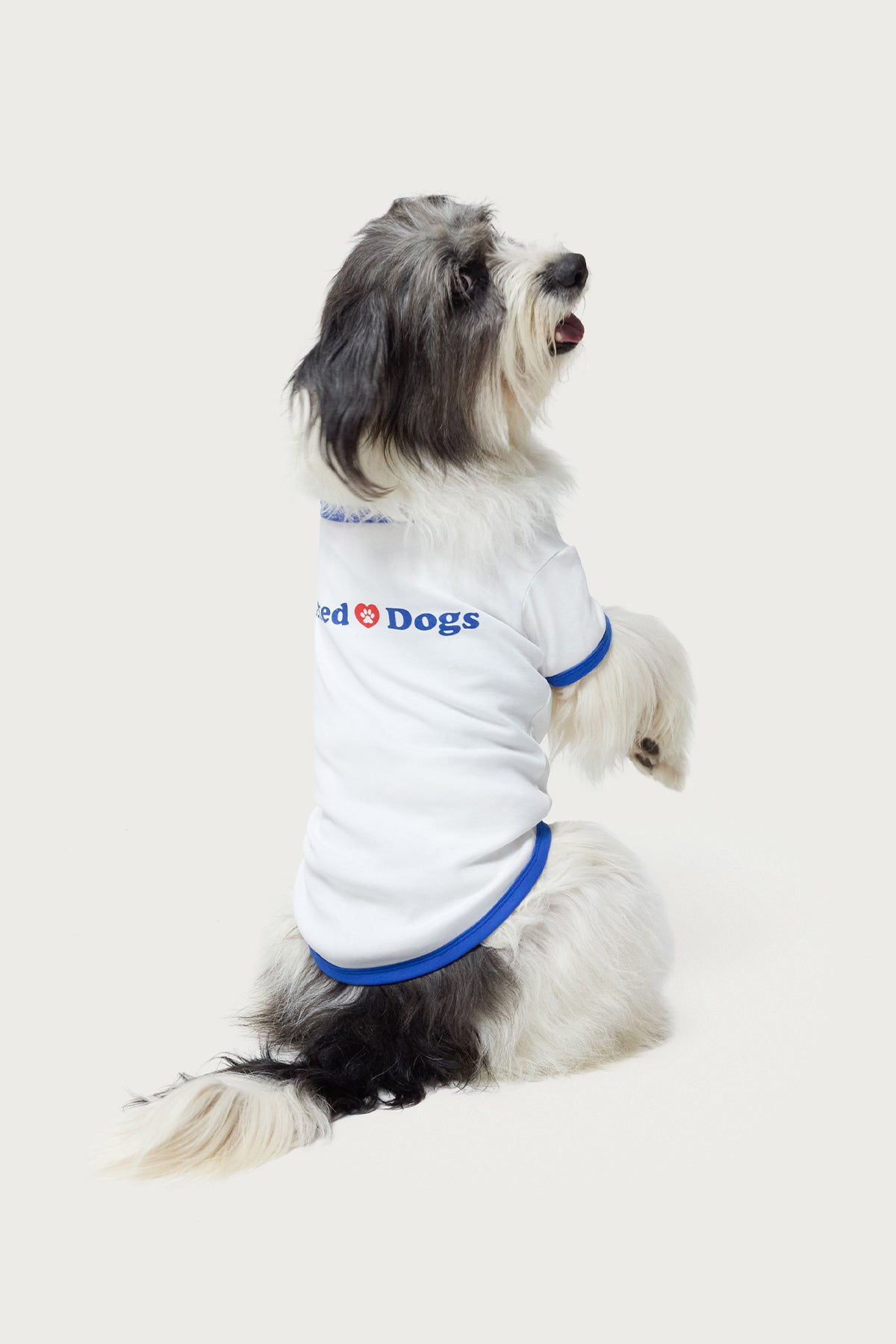 Dog Lover Graphic Tee in White | Unisex Cotton Shirt