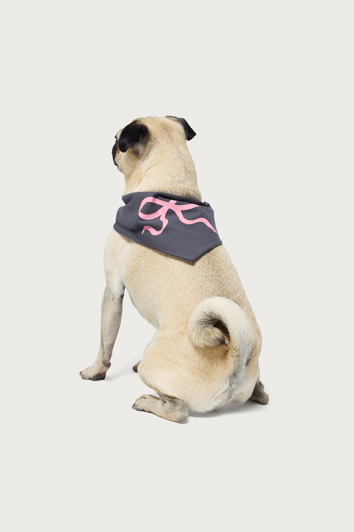 Gray Bow Dog Bandana for Stylish Pets - Adjustable Pet Neckwear