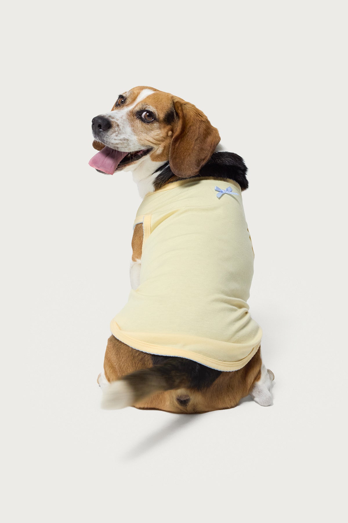 Yellow Dog Tank Top Sleeveless Shirt XS-XL Pet Apparel Summer Breathable