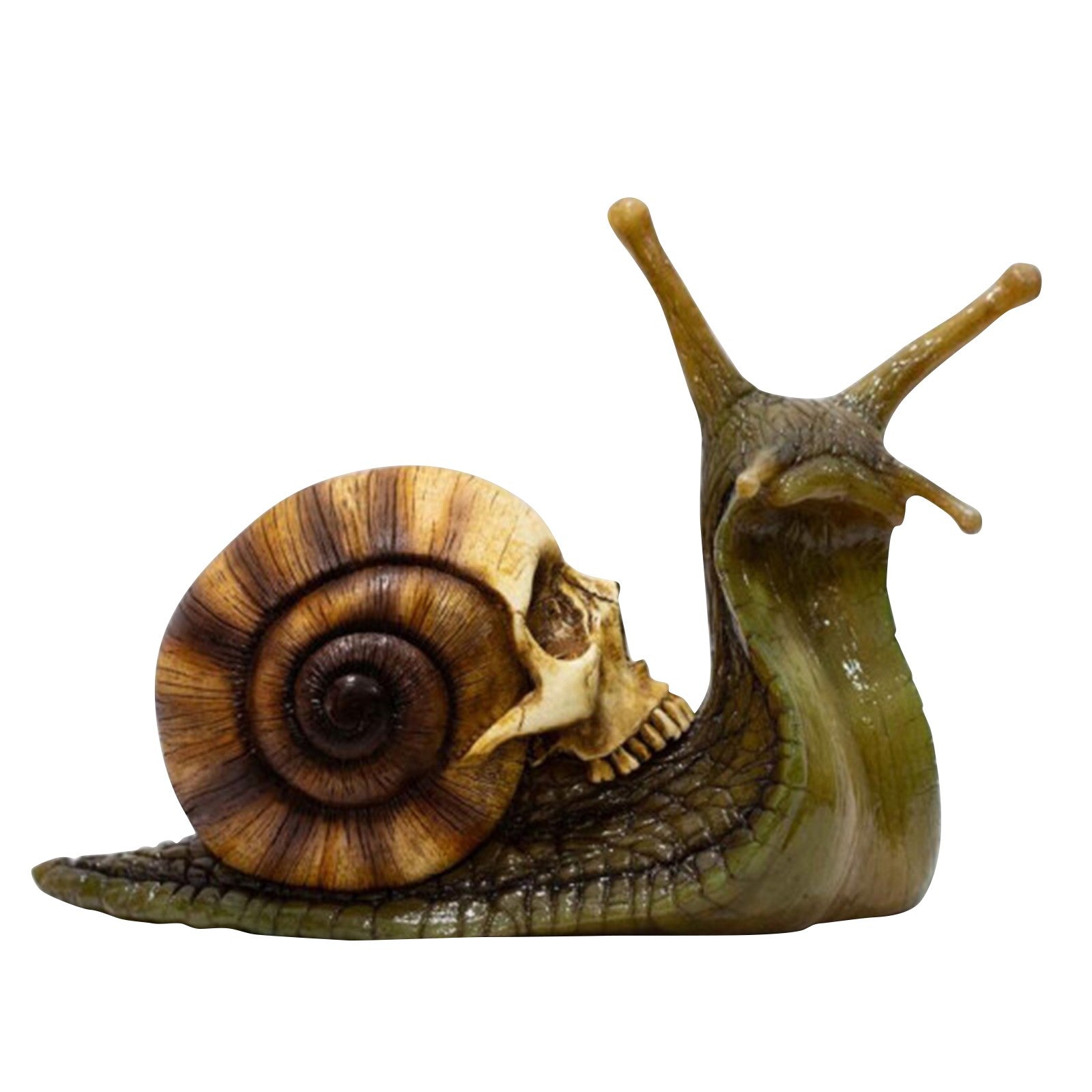 Creepy Snail Skull Resin Ornament Halloween Decor